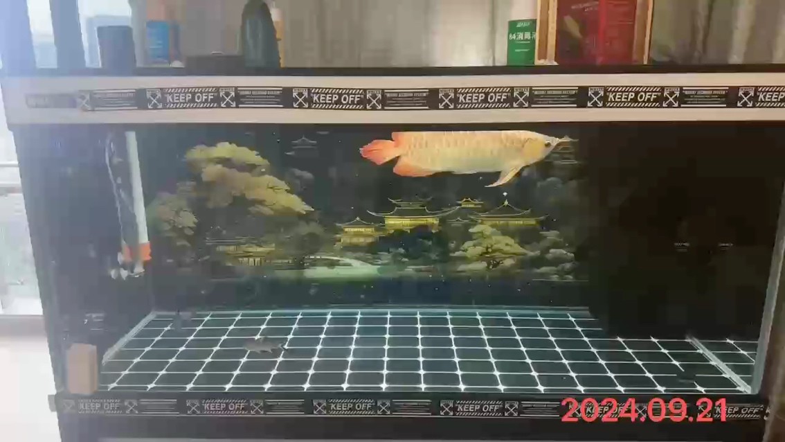 2024.09.21#