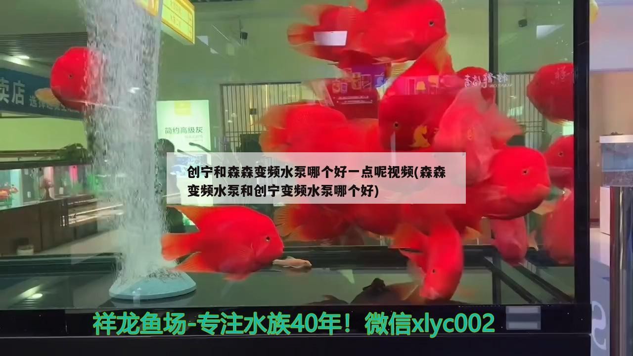 創(chuàng)寧和森森變頻水泵哪個(gè)好一點(diǎn)呢視頻(森森變頻水泵和創(chuàng)寧變頻水泵哪個(gè)好)