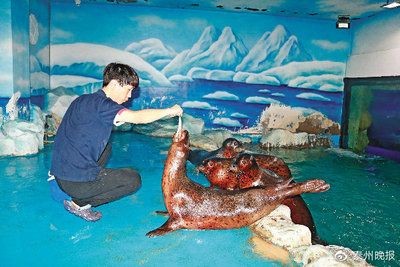 泰州水族館vs祥龍魚場（探討泰州水族館與祥龍魚場的區別之前需要明確兩者的主要業務和特點）