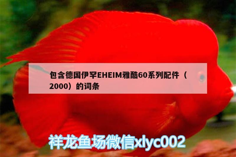 包含德國伊罕EHEIM雅酷60系列配件（2000）的詞條
