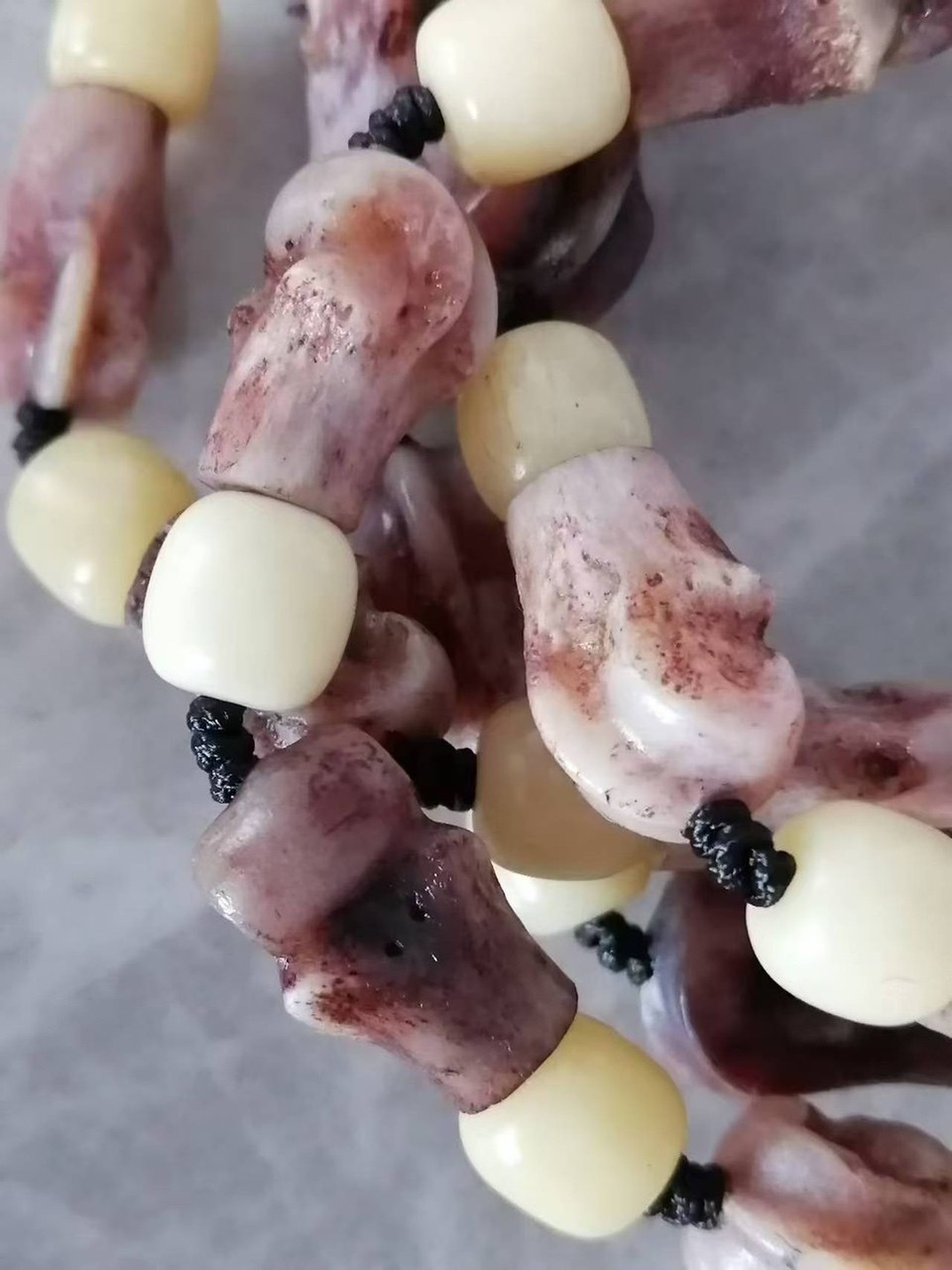 俄羅斯的特產(chǎn)大灰的趾骨