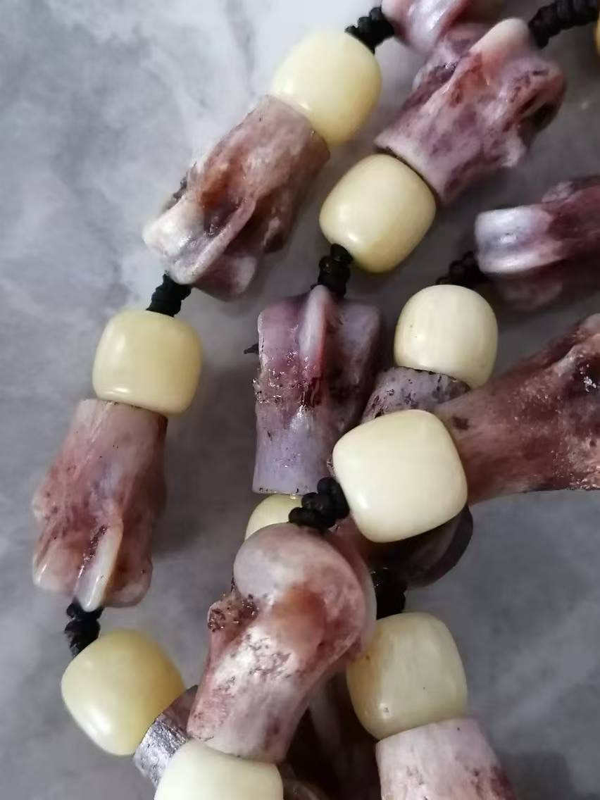 俄羅斯的特產(chǎn)大灰的趾骨