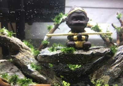 森森的金晶超白用的是什么