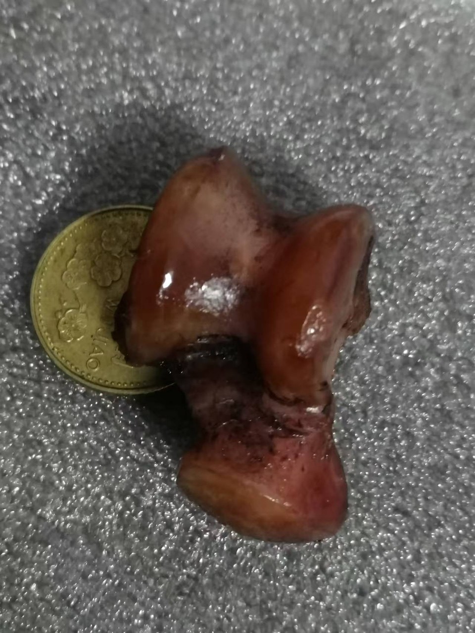 來自俄羅斯的精品