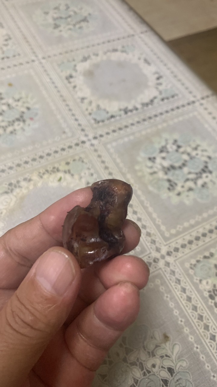來自俄羅斯的精品