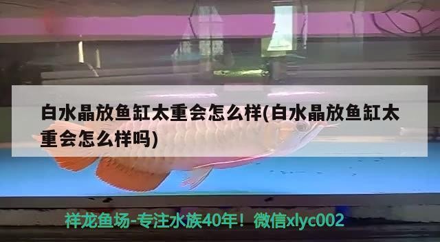白水晶放魚缸太重會怎么樣(白水晶放魚缸太重會怎么樣嗎)