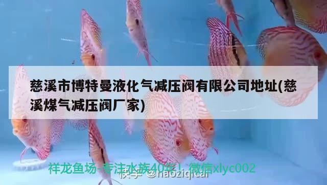 <strong><mark>慈溪</mark></strong>市博特曼液化氣減壓閥有限公司地址(<strong><mark>慈溪</mark></strong>煤氣減壓閥廠家)