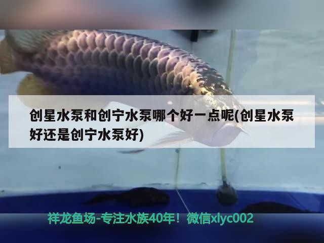創星水泵和創寧水泵哪個好一點呢(創星水泵好還是創寧水泵好)