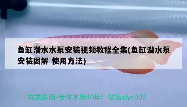diy金魚(yú)缸過(guò)濾（自制金魚(yú)缸過(guò)濾）