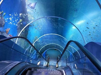 常德水族館vs祥龍魚場（常德水族館位于中國湖南省常德市）
