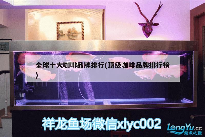 全球十大咖啡品牌排行(頂級咖啡品牌排行榜)