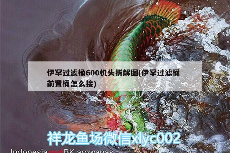 伊罕過濾桶600機頭拆解圖(伊罕過濾桶前置桶怎么接)