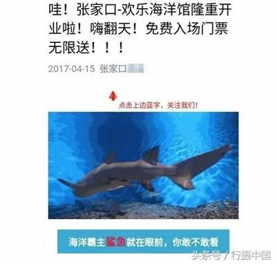張家口水族館vs祥龍魚場（張家口水族館與祥龍魚場之間的差異，地理位置與特色）