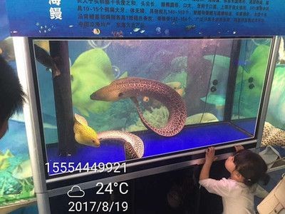 張家口水族館vs祥龍魚場（張家口水族館與祥龍魚場之間的差異，地理位置與特色）