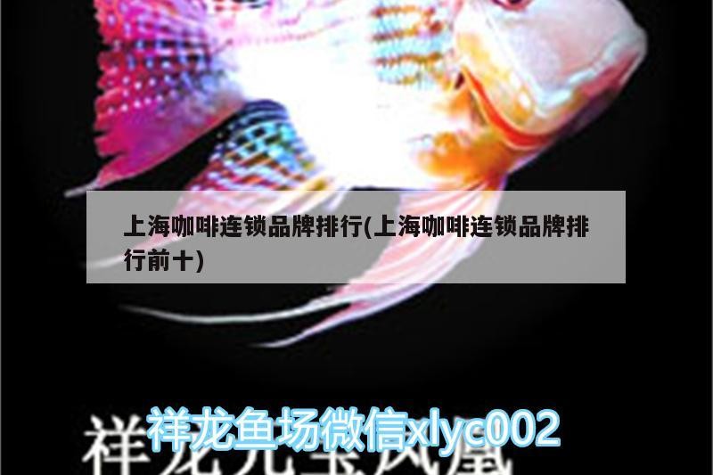 魚缸用增氧泵價格是多少:魚缸增氧機-xtrac增氧機-xtrac增氧機 上海咖啡連鎖品牌排行(上海咖啡連鎖品牌排行前十) 馬來西亞咖啡 上海咖啡連鎖品牌排行(上海咖啡連鎖品牌排行前十) 上海咖啡連鎖品牌排行(上海咖啡連鎖品牌排行前十) 馬來西亞咖啡