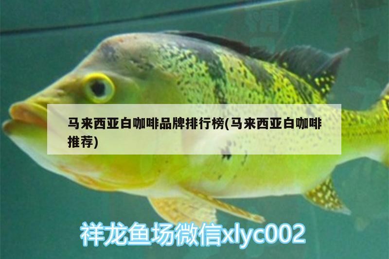 馬來西亞白咖啡品牌排行榜(馬來西亞白咖啡推薦)