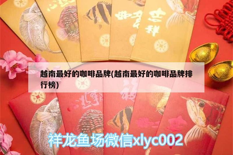 越南最好的咖啡品牌(越南最好的咖啡品牌排行榜)