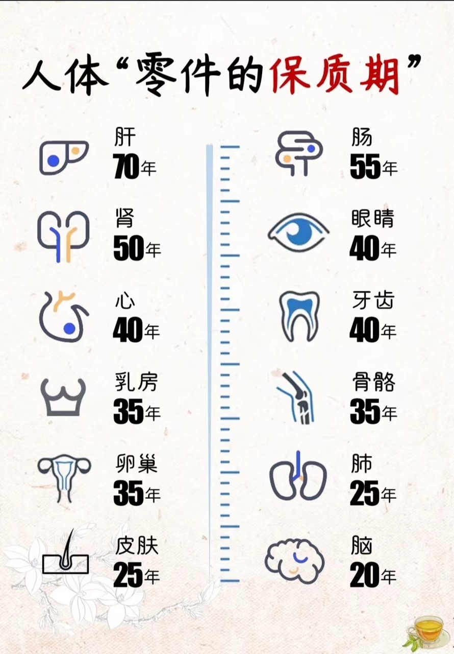 生命