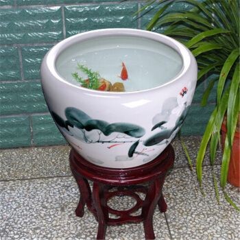 大水缸改造魚缸好嗎視頻：大水缸改造為生態魚缸的優點和技巧