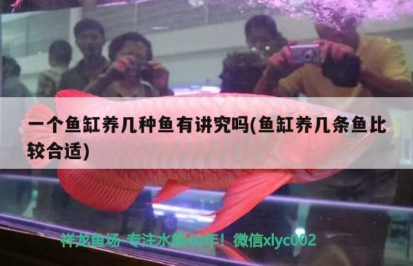 創寧變頻水泵省電嗎怎么樣（創寧變頻水泵省電嗎怎么樣啊）