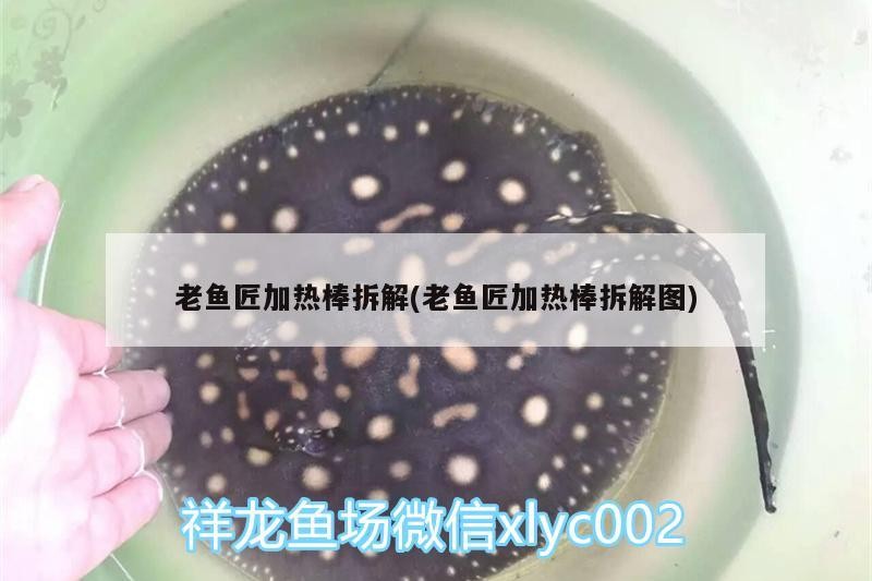 老魚匠加熱棒拆解(老魚匠加熱棒拆解圖)