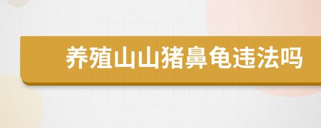 豬鼻龜養會犯法嗎：養豬鼻龜是否犯法的詳細解釋：養豬鼻龜是否犯法的詳細解釋