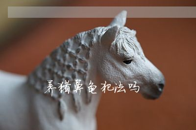 豬鼻龜養會犯法嗎：養豬鼻龜是否犯法的詳細解釋：養豬鼻龜是否犯法的詳細解釋