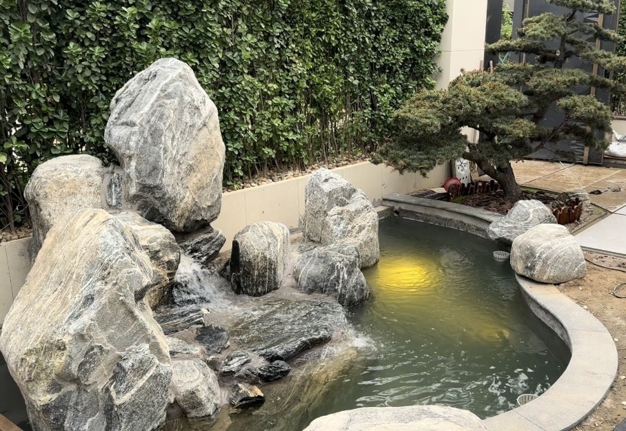 五年，龍魚長很大，繼續(xù)養(yǎng)得換更大的魚缸，最近要搬家，只能把小豬唯一的室友龍魚請走了。留下小豬，在一個超小缸過渡性蝸居了一個月，然后正好夏天，新家的室外魚池也弄好了，小豬住進戶外大豪宅。