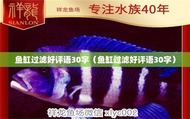 愛唯希魚缸質量評價如何樣知乎文章（愛唯希魚缸怎么樣）