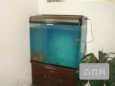 1.2米魚(yú)缸算大嗎：1.2米長(zhǎng)的魚(yú)缸在寬度和高度上的選擇取決于您的飼養(yǎng)目標(biāo)和魚(yú)缸的用途