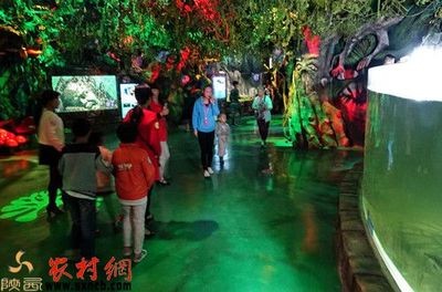商洛水族館vs祥龍魚場（商洛水族館位于陜西省專注于水族的養護、管理和維護工作）