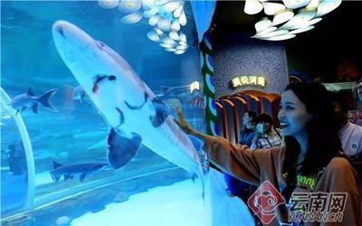 攀枝花水族館vs祥龍魚場（攀枝花水族館位于四川省攀枝花市）