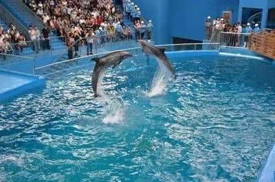 攀枝花水族館vs祥龍魚場（攀枝花水族館位于四川省攀枝花市）