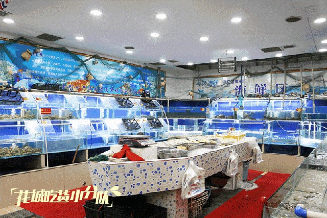 攀枝花水族館vs祥龍魚場（攀枝花水族館位于四川省攀枝花市）