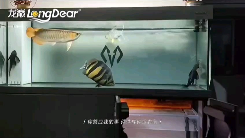 轉(zhuǎn)發(fā)538