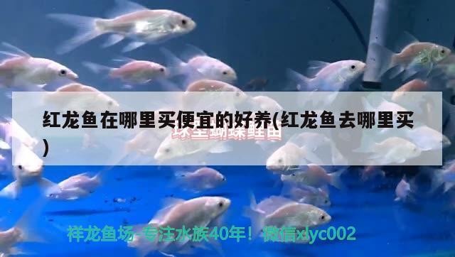 老漁匠魚缸怎么樣？老魚匠魚缸做工怎么樣？，老漁匠魚缸怎么樣和老魚匠魚缸做工怎么樣和老魚匠魚缸做工怎么樣