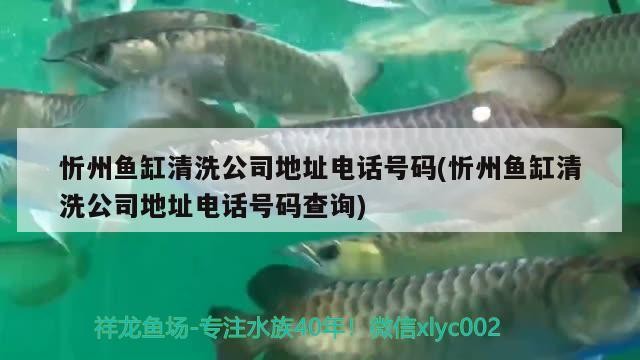 忻州魚缸清洗公司地址電話號碼(忻州魚缸清洗公司地址電話號碼查詢)