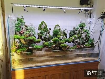 1.2米魚缸造景方案設計：1.2米魚缸造景方案設計1.2米魚缸造景方案的關鍵步驟和注意事項