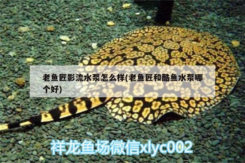 老魚匠影流水泵怎么樣(老魚匠和酷魚水泵哪個(gè)好)