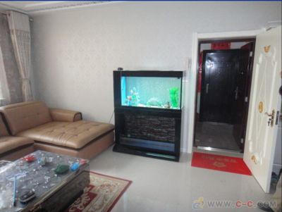 新鄉龍魚vs祥龍魚場（探討新鄉龍魚與祥龍魚場的差異之前，我們需要明確兩個概念）