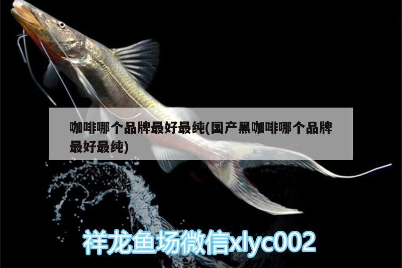 咖啡哪個品牌最好最純(國產(chǎn)黑咖啡哪個品牌最好最純)