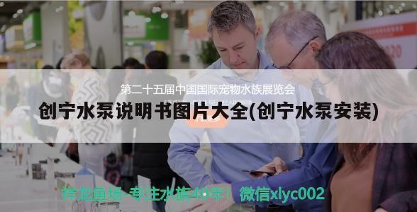 創寧水泵說明書圖片大全(創寧水泵安裝)