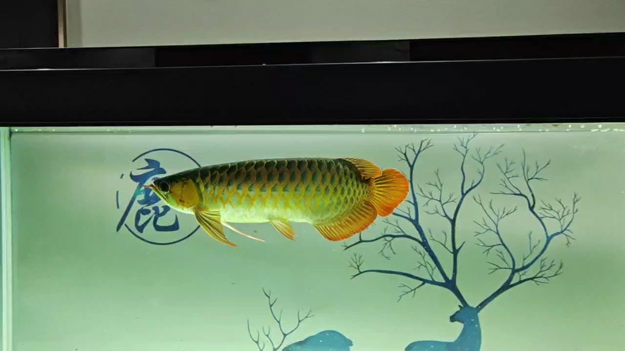 重新開始