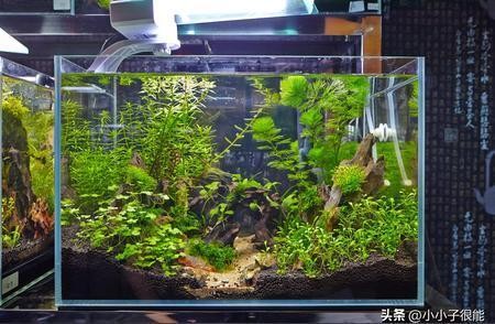 伊罕加熱棒校準視頻（伊罕加熱棒校準教程）
