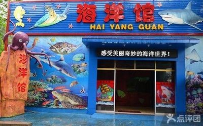桂林水族館vs祥龍魚場（探討桂林水族館與祥龍魚場之間的差異）