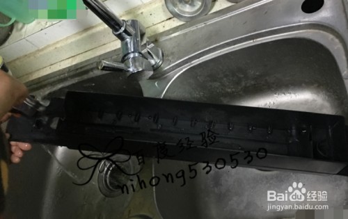 觀賞魚百科圖鑒