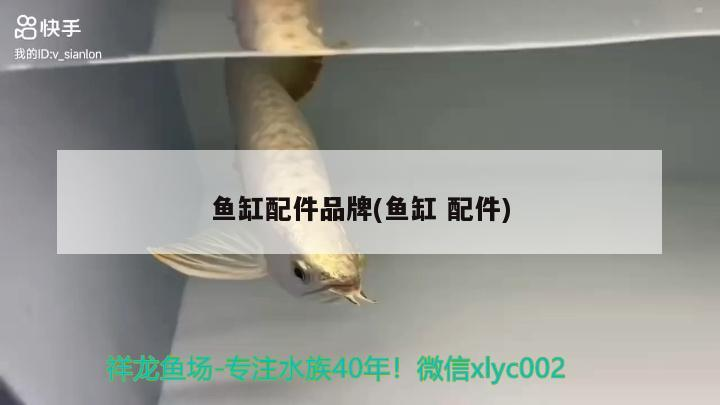 <strong><mark>伊通</mark></strong>滿族自治縣景臺鎮鏡花緣鮮花禮品店