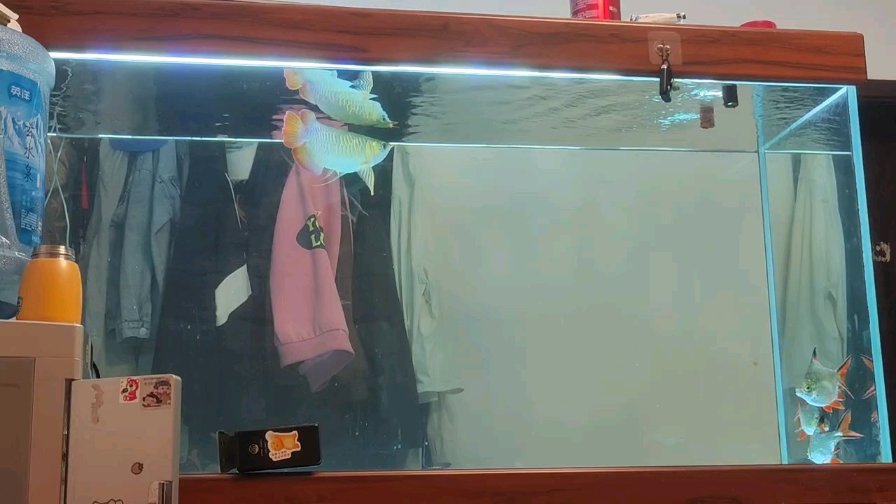 。。。。