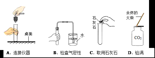 發(fā)財(cái)樹最旺的三個(gè)位置：發(fā)財(cái)樹最旺的三個(gè)位置圖片