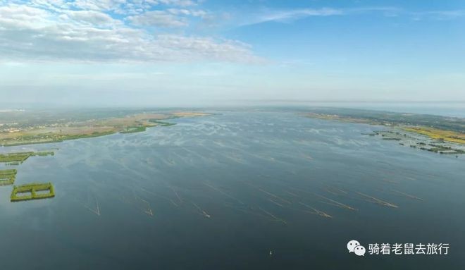 東莞天氣養天使魚要加溫嗎：東莞天氣養天使魚要加溫嗎多少度